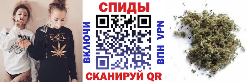kraken зеркало  Ефремов  Бутират оксана 