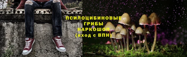 мяу мяу мука Баксан