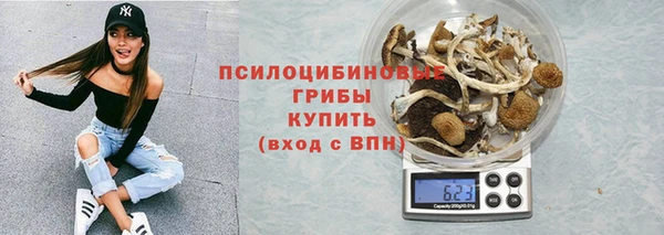 мяу мяу мука Баксан