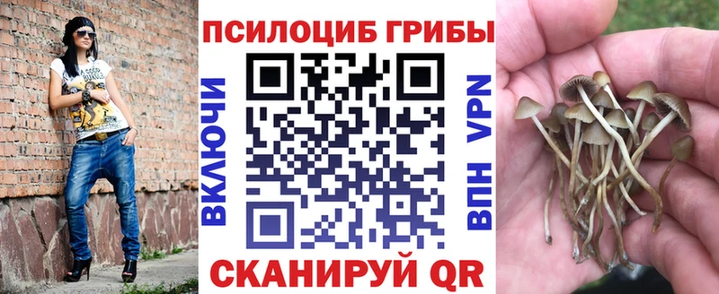 Галлюциногенные грибы мухоморы  Ефремов 